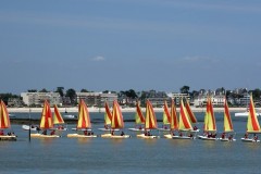 Voile