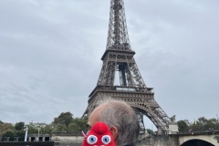 Tur-Eiffel-Phryge