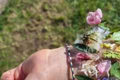 PHOTO-2026-03-26-08-02-44-6