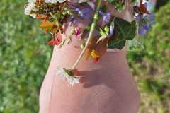 PHOTO-2026-03-26-08-02-44-7