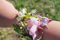 PHOTO-2026-03-26-08-02-45-2