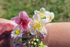 PHOTO-2026-03-26-08-02-45