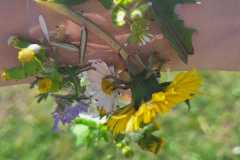 PHOTO-2026-03-26-08-02-46