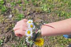 PHOTO-2026-03-26-08-02-47