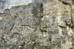 AQeUgzpeeASn7tjurA7lecIFVIbjE0g6PE1cLOpn