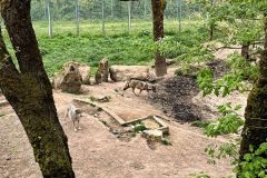 LcM5zEbQBOTuzns9hi2BKf63vOlotWeMkdYAOuC7