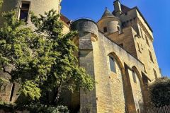 j9X8enhRm7Faz2a7CNXDq84P0UgxaalhMDxYp6zV