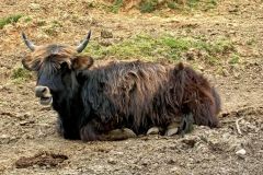 lQN6IeQeqHCUyn6OkTslThLUTThxwzZZDALydv2K