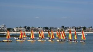 VOILE : les élèves de CM1 et CM2 pratiquent la voile au centre nautique du Pouliguen à raison de 5 journées par an.